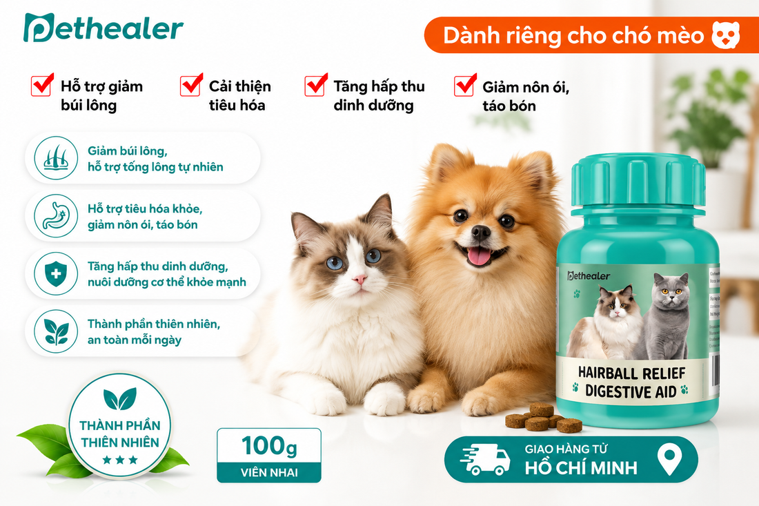 Mèo nôn búi lông: cách chăm sóc và dấu hiệu cần đi khám