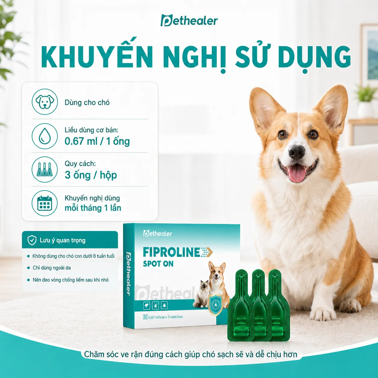 Pethealer Dung Dịch Nhỏ Gáy Fipronil Cho Chó 0.67ml × 3 Ống – Hỗ Trợ Chăm Sóc Ve Bọ Chét, Dùng Ngoài Da