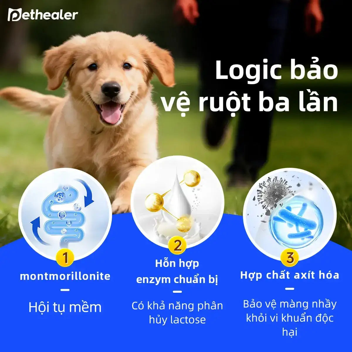 Sữa Dê Cho Chó Mèo Pethealer – Hỗ Trợ Cơ Thể Và Miễn Dịch Thú Cưng