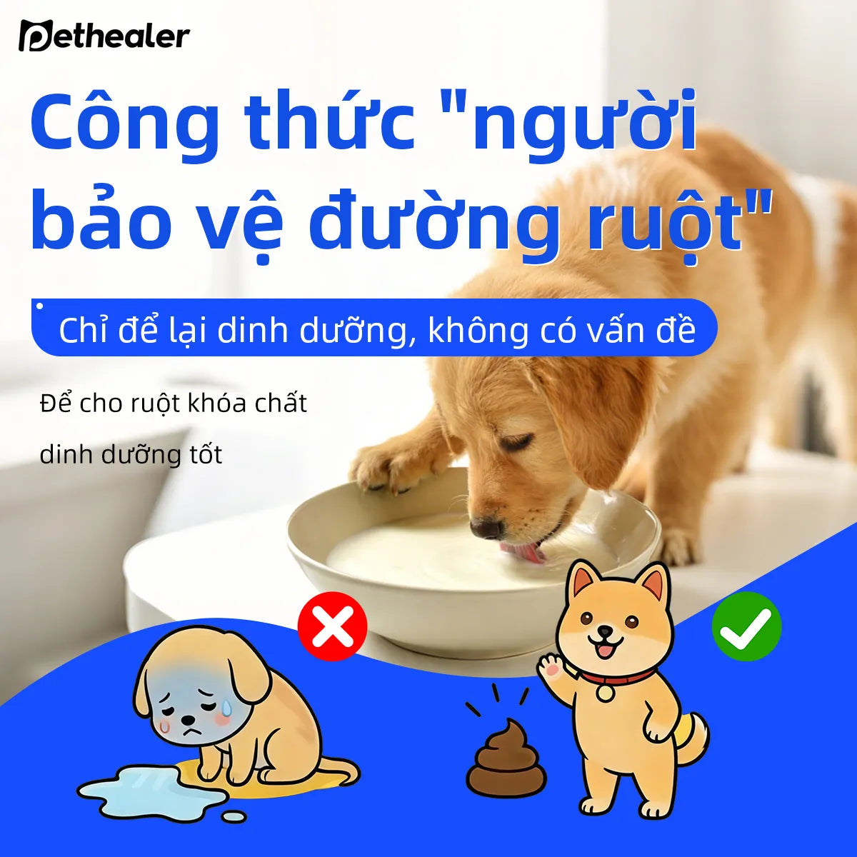 Pethealer Sữa dê cho thú cưng hỗ trợ cơ thể và miễn dịch cho chó mèo