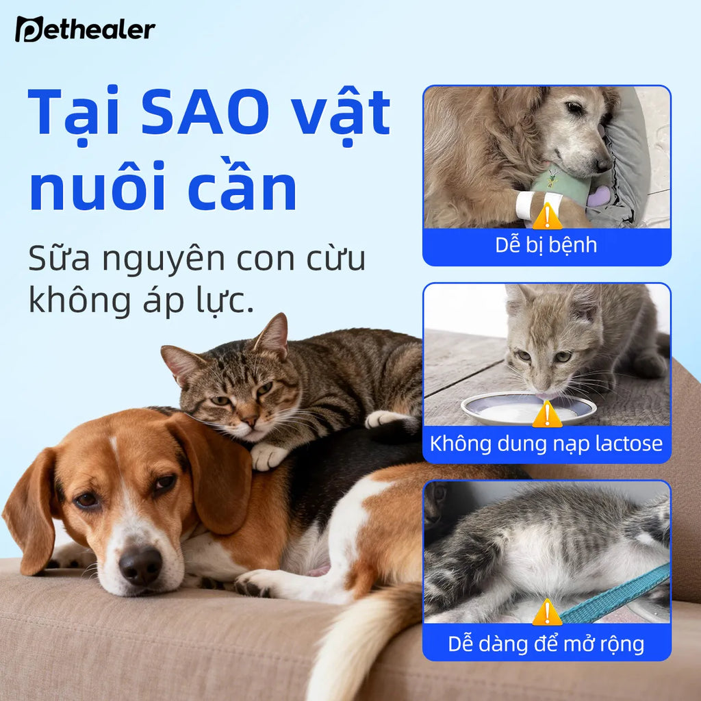 Pethealer Sữa dê cho thú cưng hỗ trợ cơ thể và miễn dịch cho chó mèo