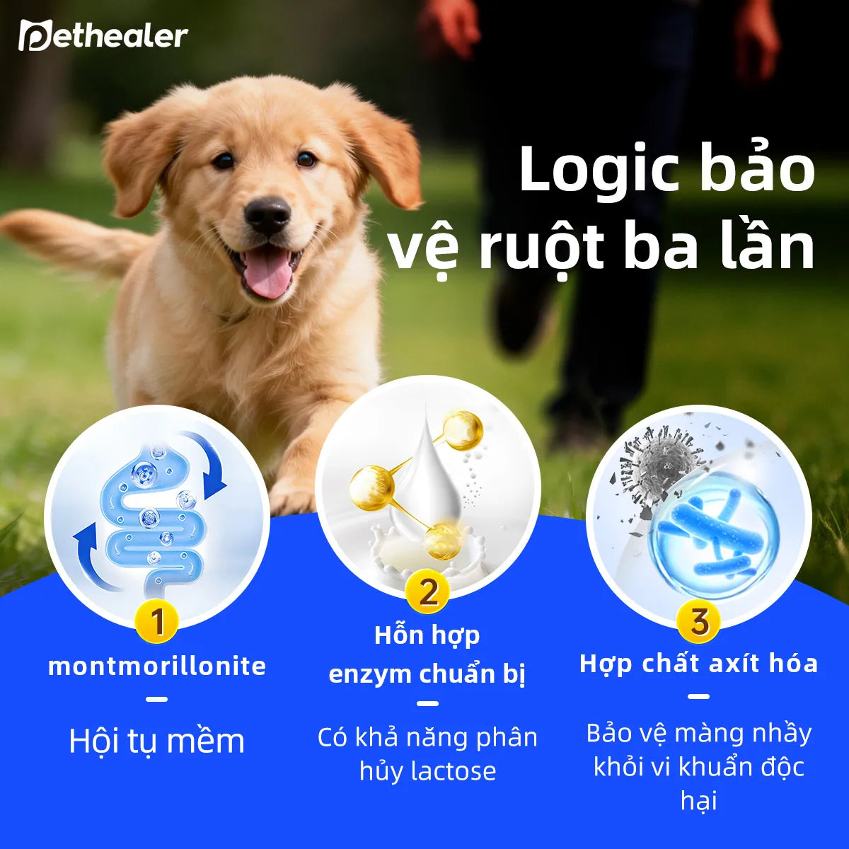 Pethealer Sữa dê cho thú cưng hỗ trợ cơ thể và miễn dịch cho chó mèo
