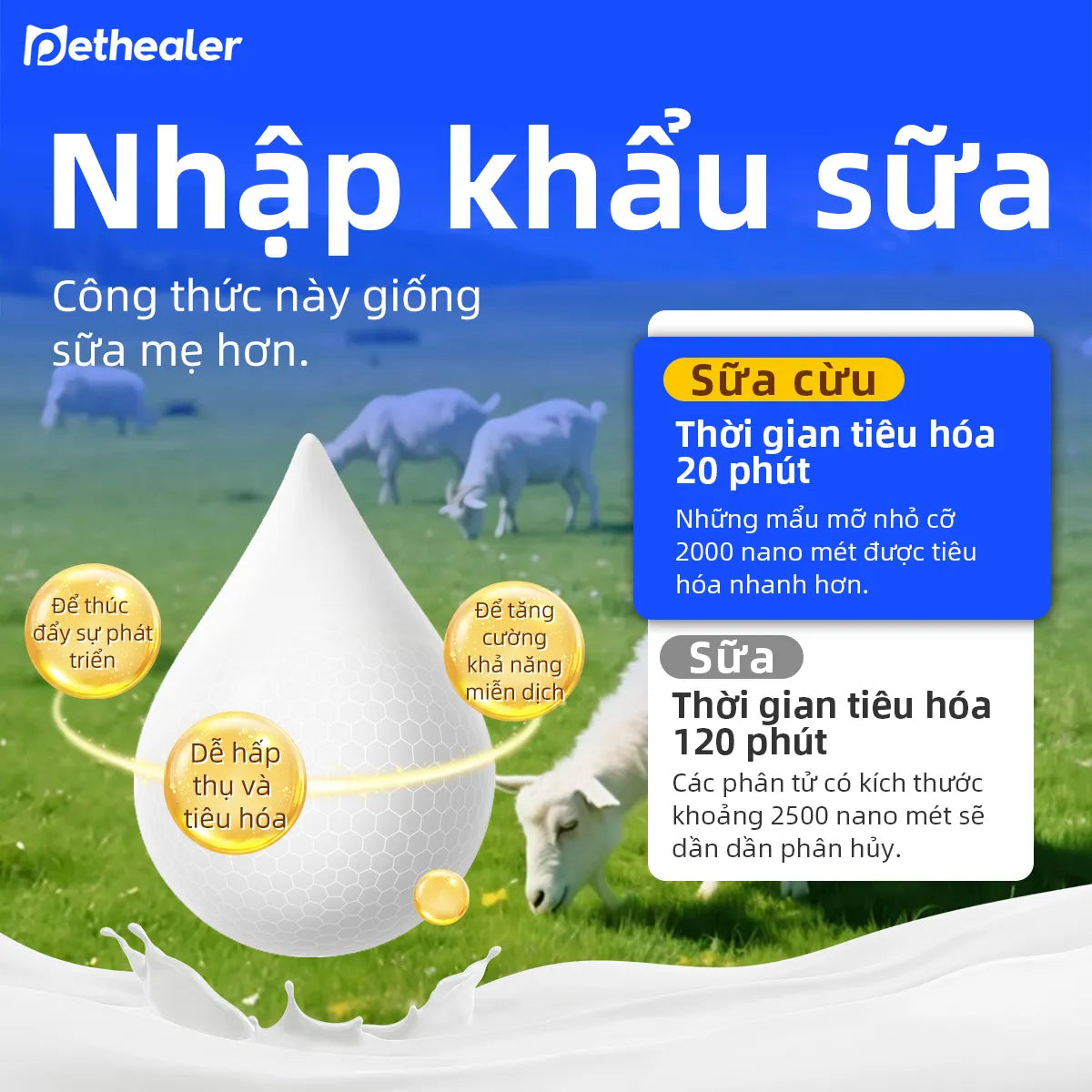 Pethealer Sữa dê cho thú cưng hỗ trợ cơ thể và miễn dịch cho chó mèo