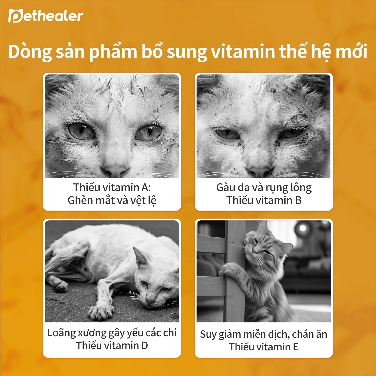 Pethealer Viên nhai multivitamin hỗ trợ sức khỏe và miễn dịch