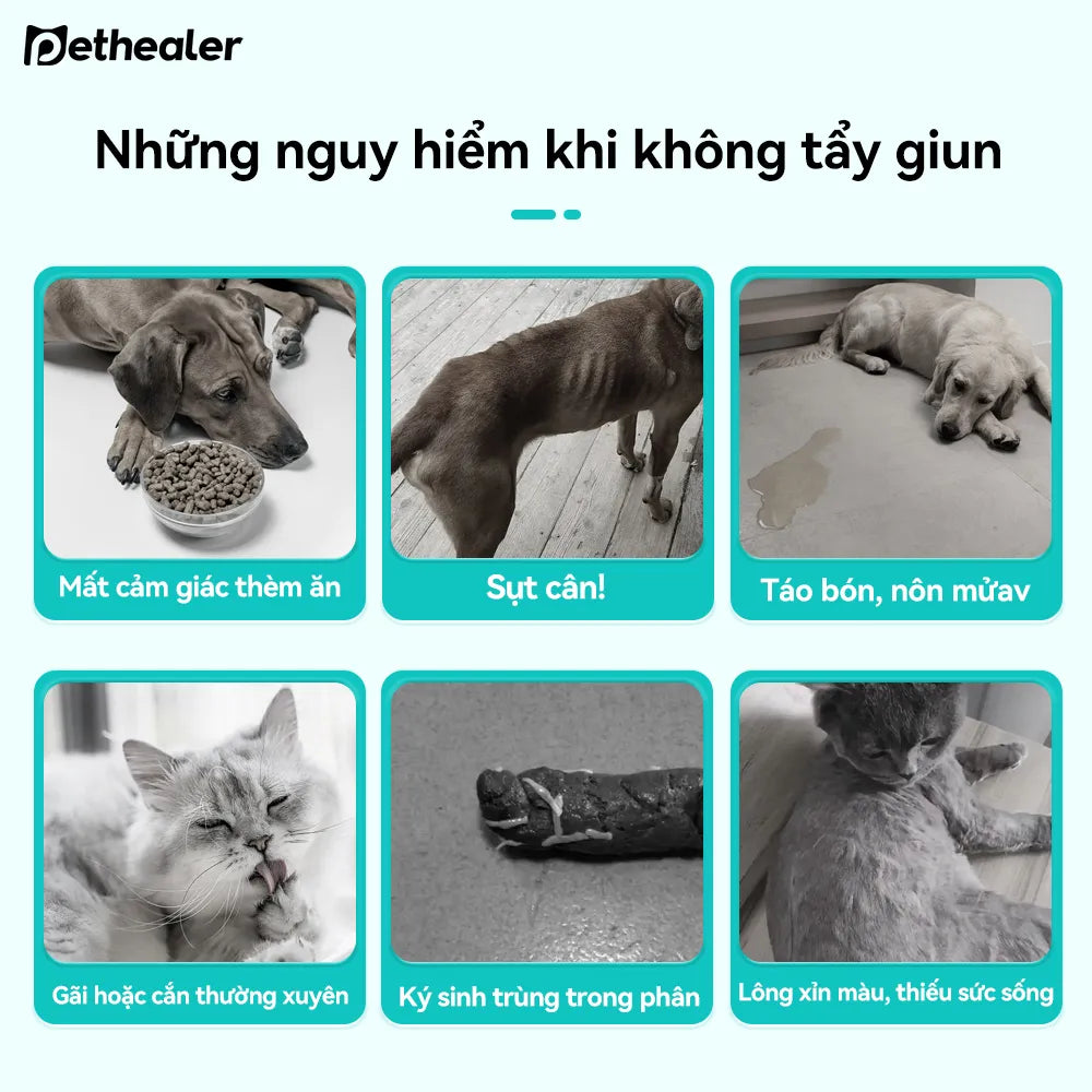 Pethealer Viên thưởng chăm sóc ký sinh trùng ngoài da công thức bảo vệ 100g
