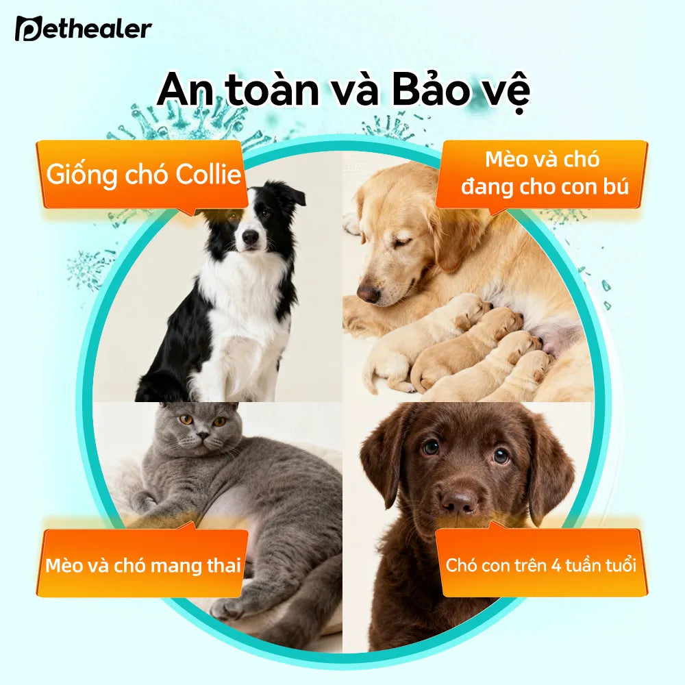 Pethealer Viên thưởng chăm sóc ký sinh trùng ngoài da công thức bảo vệ 100g