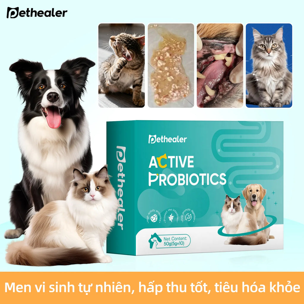 Pethealer men vi sinh công thức phối hợp, hỗ trợ sức khỏe đường ruột cho chó và mèo