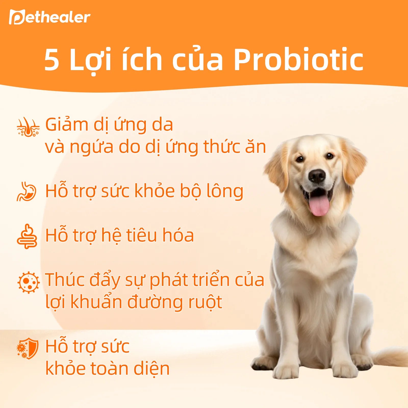 Pethealer men vi sinh công thức phối hợp, hỗ trợ sức khỏe đường ruột cho chó và mèo