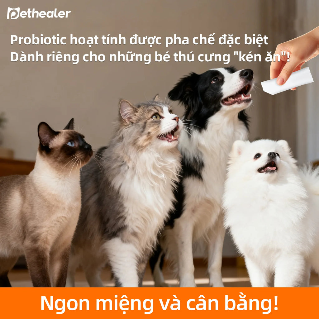 Pethealer men vi sinh công thức phối hợp, hỗ trợ sức khỏe đường ruột cho chó và mèo