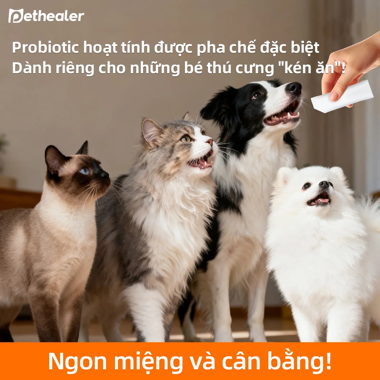 Pethealer men vi sinh công thức phối hợp, hỗ trợ sức khỏe đường ruột cho chó và mèo