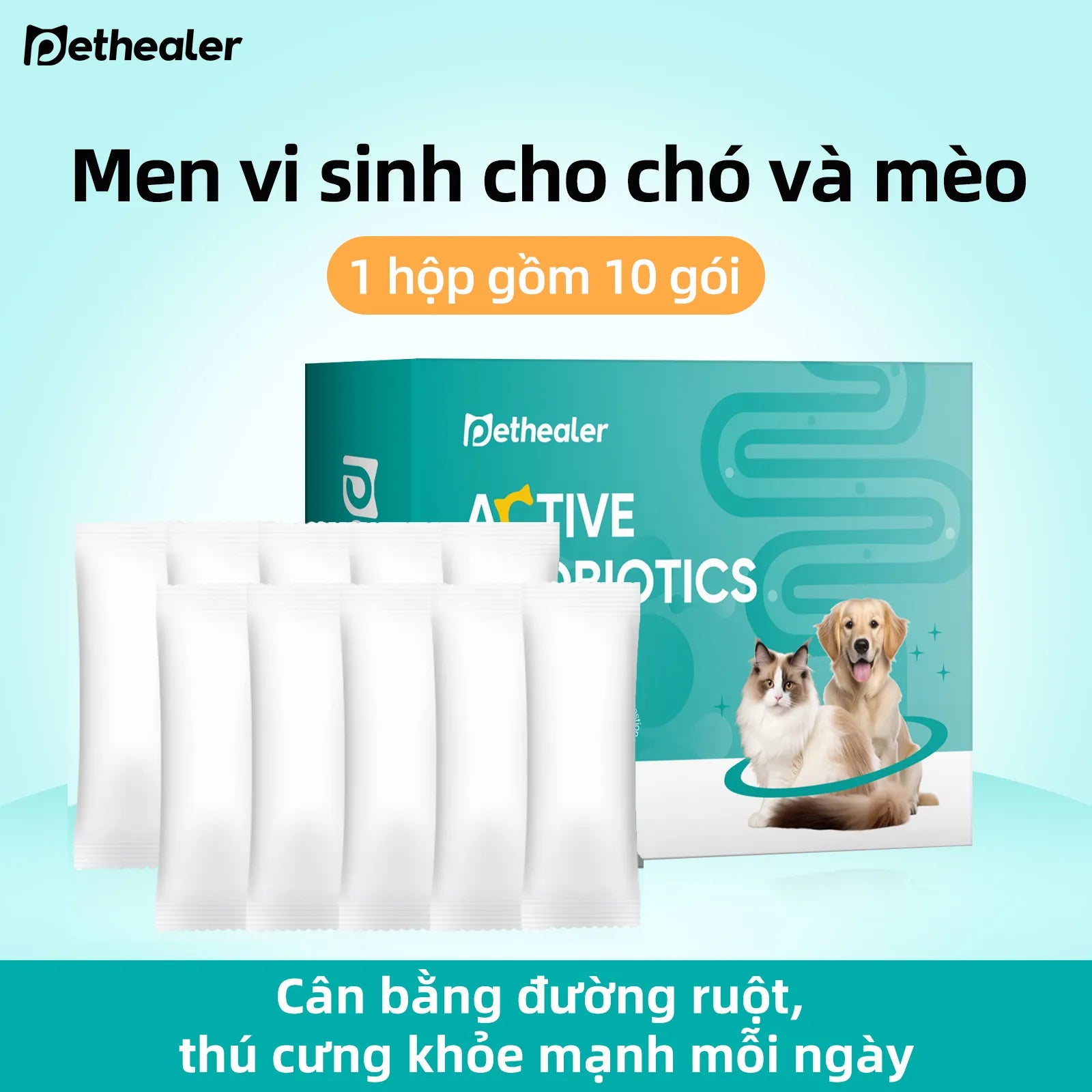 Pethealer men vi sinh công thức phối hợp, hỗ trợ sức khỏe đường ruột cho chó và mèo