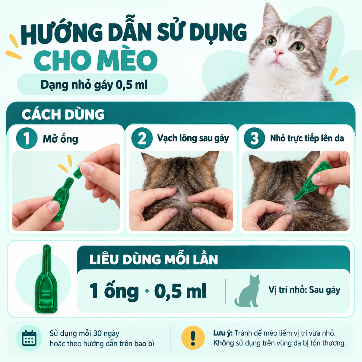 Infographic hướng dẫn sử dụng thuốc nhỏ ngoài ký sinh trùng cho mèo 0,5ml, 3 bước sử dụng, liều dùng và lưu ý quan trọng