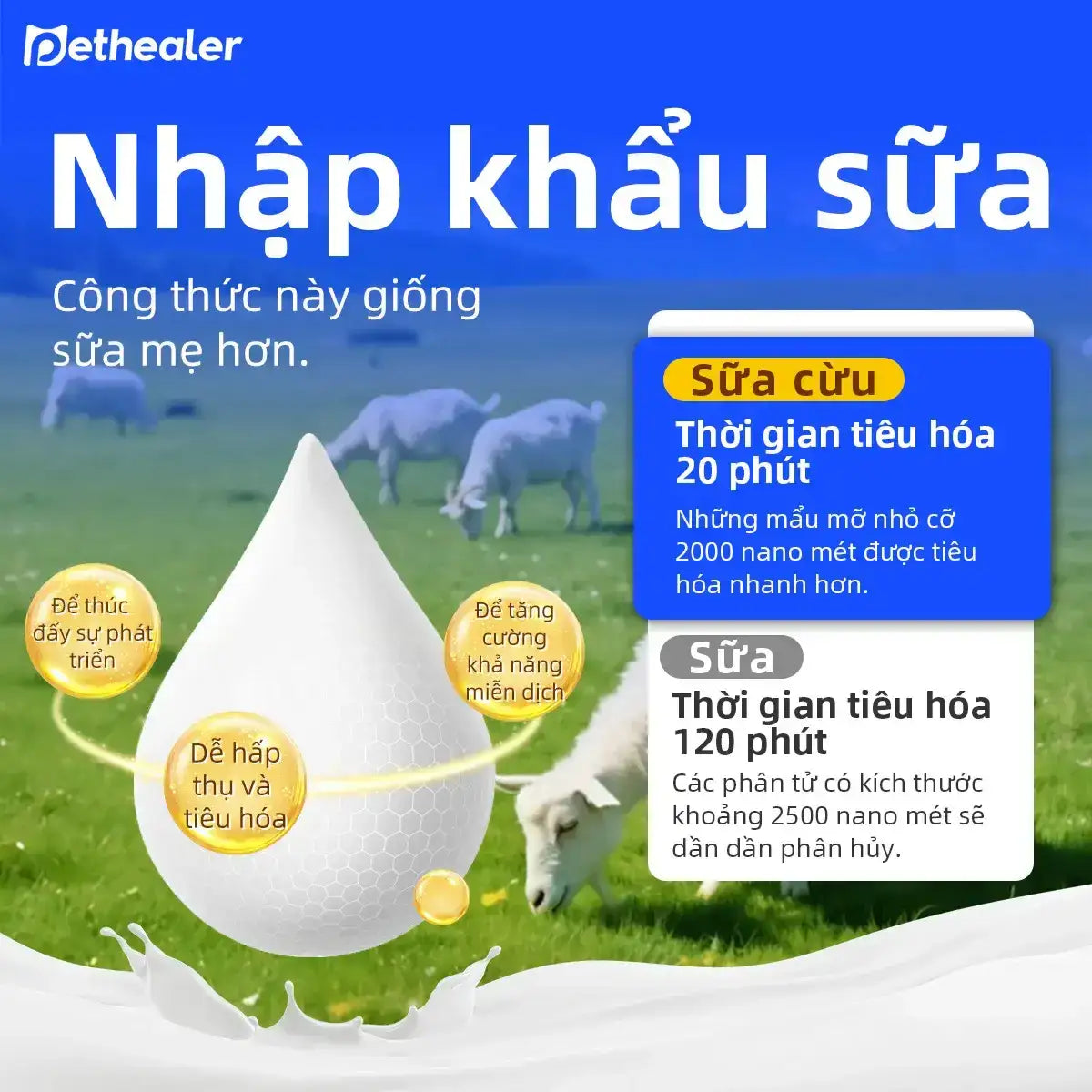 Bột sữa dê Pethealer so sánh tốc độ tiêu hóa sữa dê và sữa bò, hạt mỡ siêu nhỏ dễ hấp thu, hỗ trợ phát triển và tăng cường miễn dịch cho thú cưng