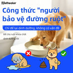 Bột sữa dê Pethealer công thức bảo vệ đường ruột thú cưng, hỗ trợ hấp thu dinh dưỡng, giảm tình trạng tiêu chảy