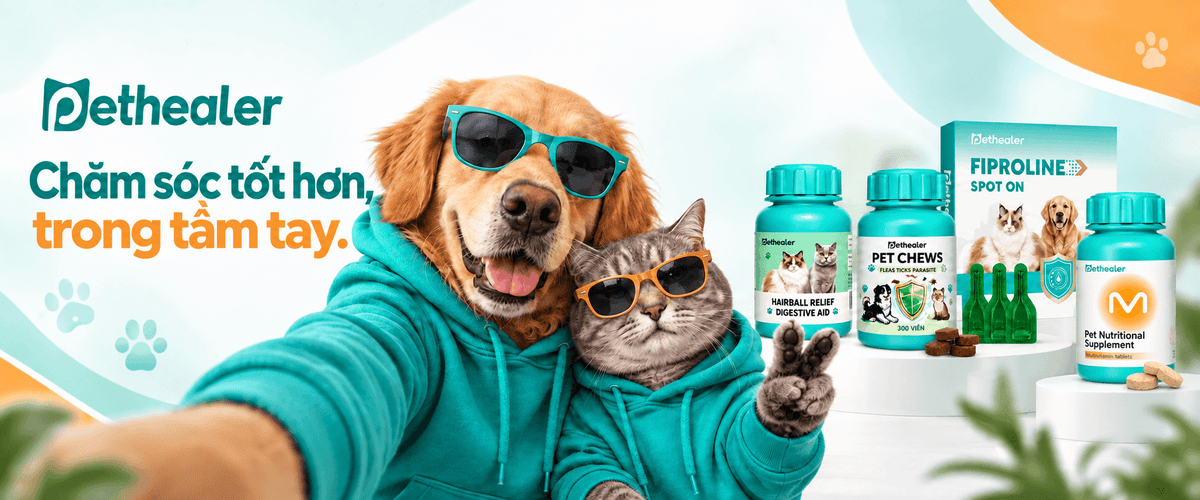 Banner ngang trang chủ Pethealer, chó và mèo mặc áo hoodie đeo kính râm, trưng bày bộ sản phẩm chăm sóc sức khỏe thú cưng