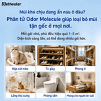 Bảng hình minh họa các vị trí có thể sử dụng sản phẩm khử mùi Pethealer, khử mùi gốc cho hộp cát mèo, tủ giày, phòng ở và nhà tắm