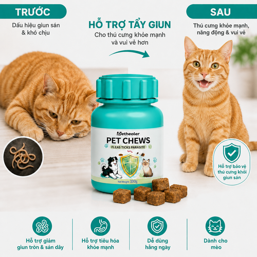 Hình ảnh so sánh trước sau sử dụng viên nhai tẩy giun Pethealer cho mèo, hỗ trợ đào thải giun sán, cải thiện sức khỏe mèo
