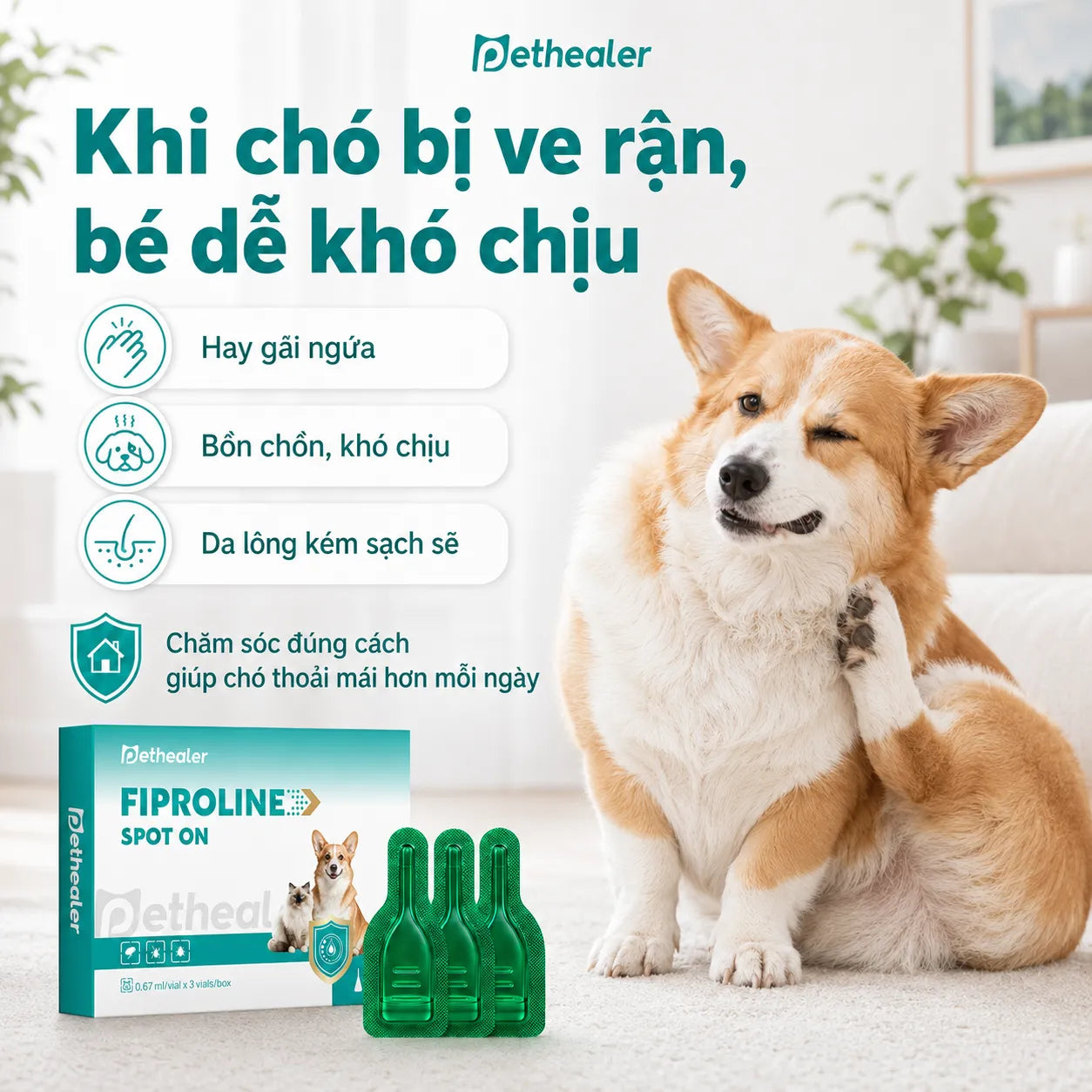 Pethealer Dung Dịch Nhỏ Gáy Fipronil Cho Chó 0.67ml × 3 Ống – Hỗ Trợ Chăm Sóc Ve Bọ Chét, Dùng Ngoài Da