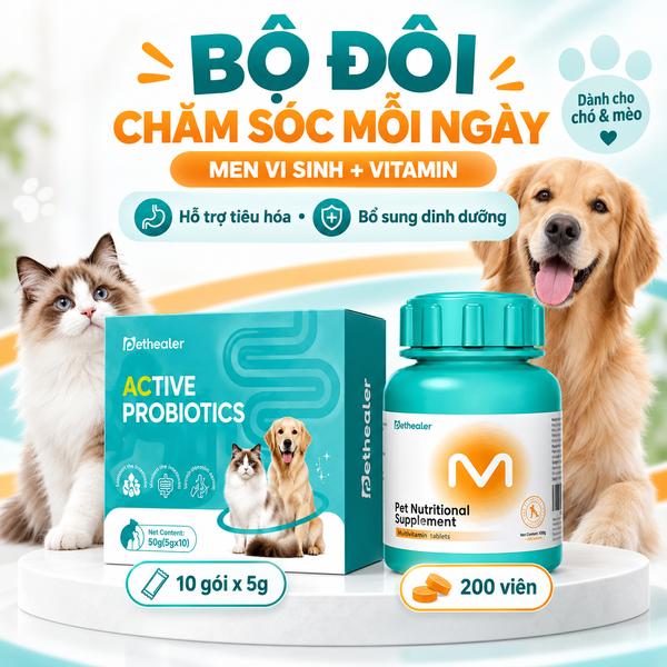 Banner bộ đôi chăm sóc hàng ngày cho chó và mèo Pethealer gồm men vi sinh hỗ trợ tiêu hóa và viên vitamin tổng hợp bổ sung dinh dưỡng, hình chó Golden Retriever và mèo Ragdoll, combo dinh dưỡng hàng ngày thú cưng