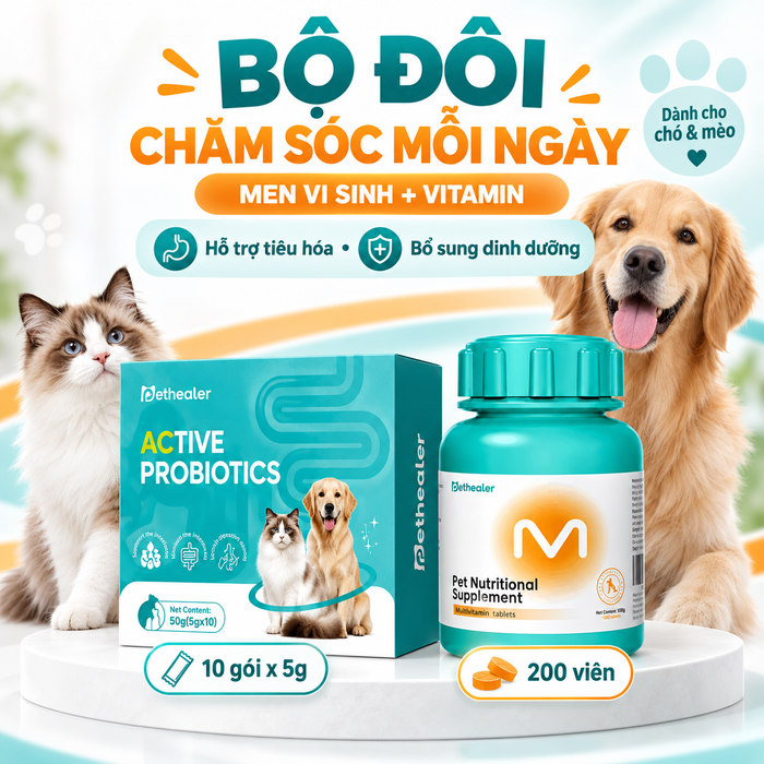 Banner bộ đôi chăm sóc hàng ngày cho chó và mèo Pethealer gồm men vi sinh hỗ trợ tiêu hóa và viên vitamin tổng hợp bổ sung dinh dưỡng, hình chó Golden Retriever và mèo Ragdoll, combo dinh dưỡng hàng ngày thú cưng