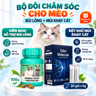 Banner bộ đôi chăm sóc cho mèo Pethealer gồm viên nhai hỗ trợ búi lông và bột khử mùi khay cát Odor Molecule, hình mèo Ragdoll, combo đào thải lông và khử mùi hộp cát cho mèo