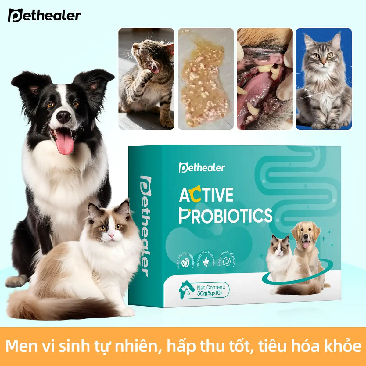Men vi sinh tự nhiên Pethealer Active Probiotics cho chó mèo, hỗ trợ hấp thu dinh dưỡng tốt, tiêu hóa khỏe, cải thiện các vấn đề đường ruột và sức khỏe thú cưng