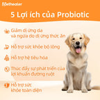 5 lợi ích men vi sinh Pethealer cho chó mèo: giảm dị ứng da ngứa do thức ăn, hỗ trợ sức khỏe bộ lông, hỗ trợ hệ tiêu hóa, thúc đẩy lợi khuẩn đường ruột, nâng cao sức khỏe toàn diện thú cưng