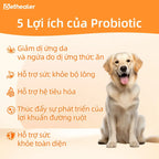 Banner 5 lợi ích của men vi sinh Pethealer cho chó mèo: giảm dị ứng da và ngứa do dị ứng thức ăn, hỗ trợ sức khỏe bộ lông, hỗ trợ hệ tiêu hóa, thúc đẩy lợi khuẩn đường ruột, hỗ trợ sức khỏe toàn diện, hình ảnh chó vàng