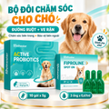 Banner bộ đôi chăm sóc cho chó Pethealer gồm men vi sinh Active Probiotics dưỡng ruột và dung dịch nhỏ gày Fiproline Spot‑On trị ve rận, hình chó Golden Retriever, combo chăm sóc bên trong bảo vệ bên ngoài cho chó