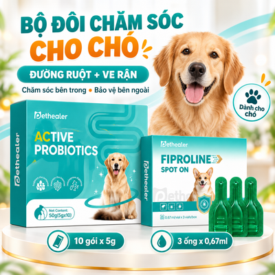 Banner bộ đôi chăm sóc cho chó Pethealer gồm men vi sinh Active Probiotics dưỡng ruột và dung dịch nhỏ gày Fiproline Spot‑On trị ve rận, hình chó Golden Retriever, combo chăm sóc bên trong bảo vệ bên ngoài cho chó
