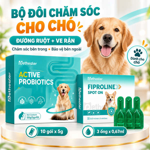 Banner bộ đôi chăm sóc cho chó Pethealer gồm men vi sinh Active Probiotics dưỡng ruột và dung dịch nhỏ gày Fiproline Spot‑On trị ve rận, hình chó Golden Retriever, combo chăm sóc bên trong bảo vệ bên ngoài cho chó