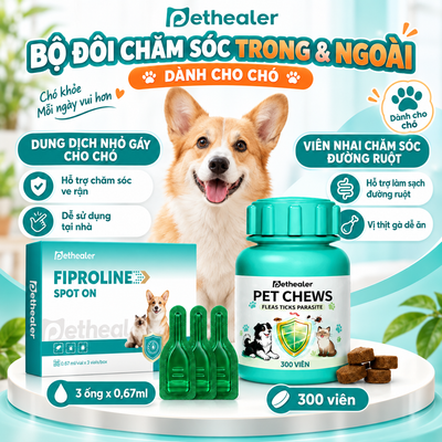 Banner bộ đôi chăm sóc trong và ngoài cho chó Pethealer gồm Fiproline Spot‑On nhỏ gày trị ve rận bên ngoài và viên nhai tẩy giun nội địa, hình chó Corgi, combo trị ký sinh trùng trong ngoài cho chó