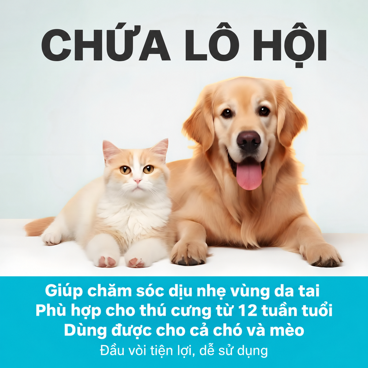 Hình ảnh chó vàng và mèo cam trắng, dung dịch vệ sinh tai Pethealer chăm sóc dịu nhẹ da tai, phù hợp thú cưng từ 12 tuần tuổi, dùng cho cả chó và mèo, đầu vòi tiện lợi dễ sử dụng