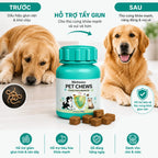 Banner so sánh trước sau sử dụng viên nhai hỗ trợ tẩy giun Pethealer cho chó mèo, hình chó vàng trước và sau điều trị, chai sản phẩm viên nhai thịt, 4 lợi ích: hỗ trợ giảm giun, hỗ trợ tiêu hóa, dễ dùng hàng ngày, dành cho chó và mèo