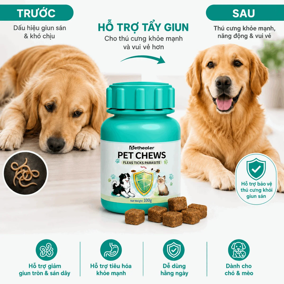 Banner so sánh trước sau sử dụng viên nhai hỗ trợ tẩy giun Pethealer cho chó mèo, hình chó vàng trước và sau điều trị, chai sản phẩm viên nhai thịt, 4 lợi ích: hỗ trợ giảm giun, hỗ trợ tiêu hóa, dễ dùng hàng ngày, dành cho chó và mèo