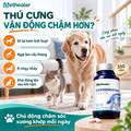 Biểu đồ triệu chứng thú cưng vận động chậm, kém linh hoạt, ngại leo cầu thang; sản phẩm viên Chondroitin Pethealer hỗ trợ chăm sóc xương khớp cho chó và mèo
