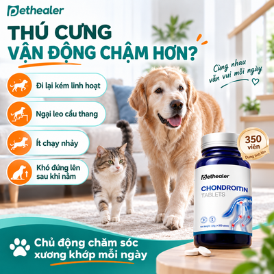 Biểu đồ triệu chứng thú cưng vận động chậm, kém linh hoạt, ngại leo cầu thang; sản phẩm viên Chondroitin Pethealer hỗ trợ chăm sóc xương khớp cho chó và mèo