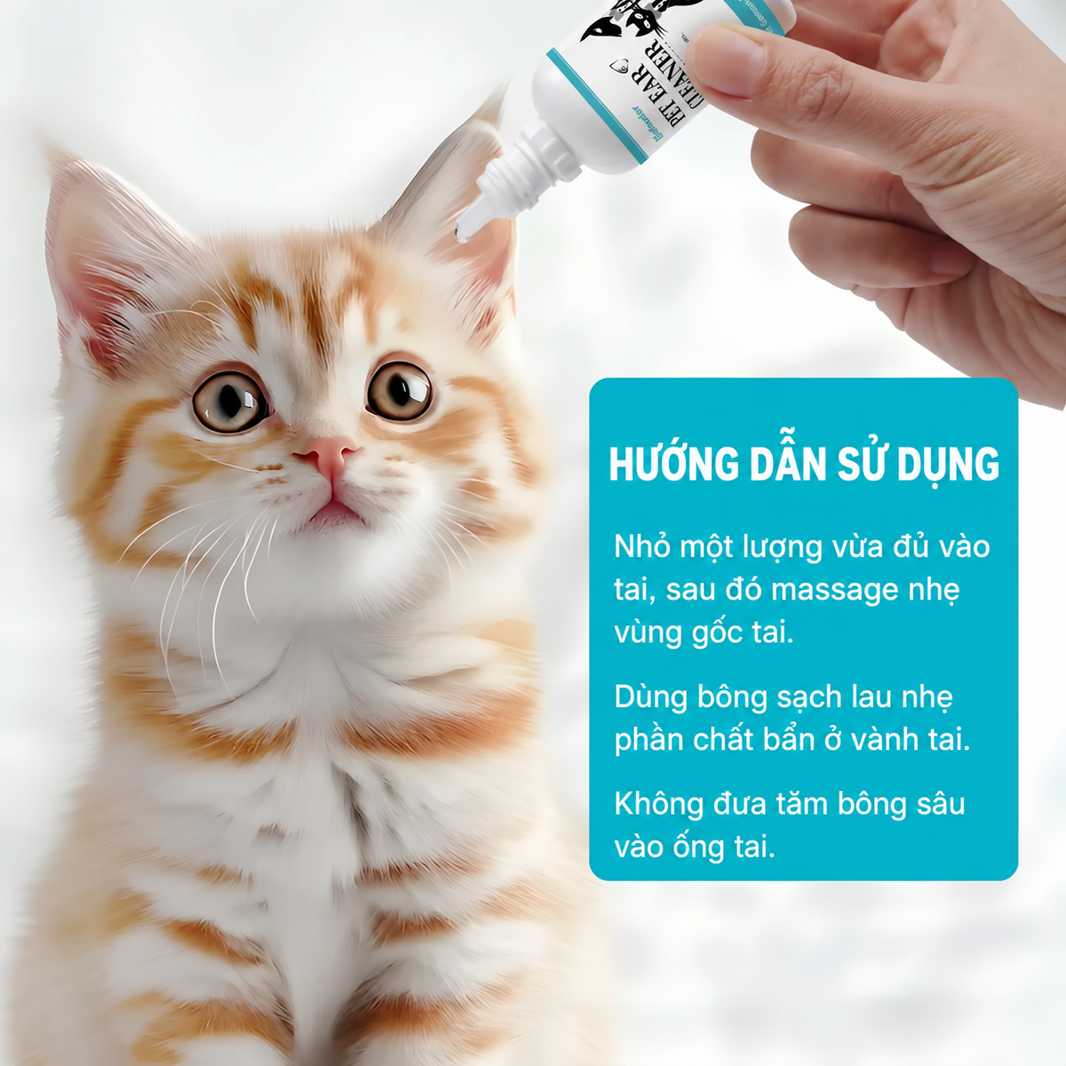 Hướng dẫn sử dụng dung dịch nhỏ tai Pethealer cho mèo: nhỏ dung dịch vào tai, massage nhẹ gốc tai, lau sạch chất bẩn ở vành tai, không đưa bông sâu vào ống tai, hình ảnh minh họa nhỏ tai cho mèo con