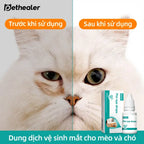 So sánh trước và sau khi dùng nhỏ mắt Pethealer, dung dịch vệ sinh mắt cho chó mèo, giảm vết thâm mắt, làm sạch vùng mắt thú cưng