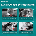 Bảng dấu hiệu cảnh báo vấn đề khớp xương thú cưng: đi khập khiễng, khớp chân kém linh hoạt, khó ngồi xuống đứng vững, ngại nhảy đi lại, chú ý sức khỏe xương khớp chó mèo