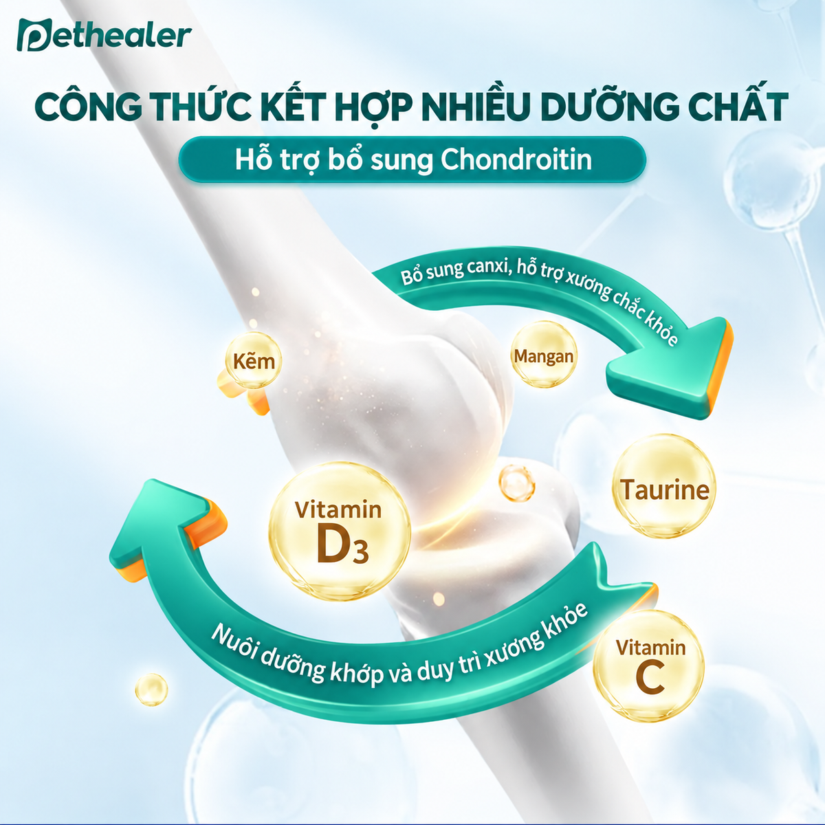 Biểu đồ công thức dưỡng chất cho xương khớp thú cưng Pethealer, chứa Chondroitin, Vitamin D3, C, Taurine, Kẽm, Mangan, hỗ trợ nuôi dưỡng khớp và xương chắc khỏe cho chó mèo