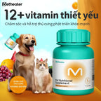 Banner viên đa vitamin Pethealer 12+ vitamin thiết yếu, chăm sóc và hỗ trợ thú cưng phát triển khỏe mạnh, hình ảnh chó vàng mèo Ragdoll, chai sản phẩm xanh lá, trái cây tươi, khoảng 200 viên dùng cho chó và mèo