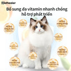 Hình ảnh mèo Ragdoll, bảng lợi ích đa vitamin thú cưng: hỗ trợ lông da, thị lực, tim mạch, trao đổi chất, thần kinh, xương khớp, miễn dịch, kích thích ăn ngon, bổ sung vitamin cho chó mèo