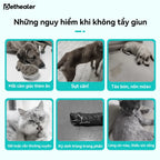 Hình ảnh thông tin nguy hiểm khi không tẩy giun cho chó mèo, các triệu chứng do ký sinh trùng gây ra cho thú cưng Pethealer
